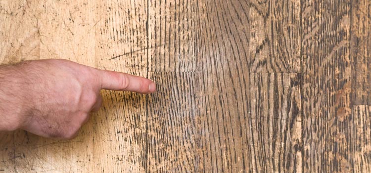 Wood Door Scratch Repair in Northwest Edmonton